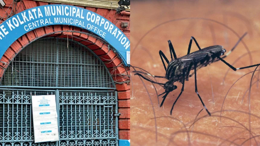 KMC Announced Dengue is a Rising Concern in South Kolkata